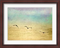 Framed Seagulls In The Sky II