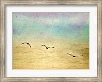 Framed Seagulls In The Sky II