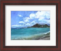 Framed Caribbean Splendor
