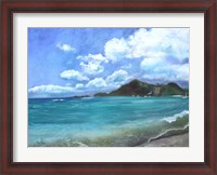 Framed Caribbean Splendor