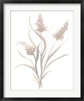 Framed Beige Herb I