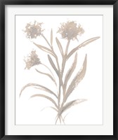 Framed Beige Herb II