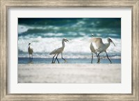 Framed Egret Walk