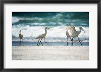 Framed Egret Walk