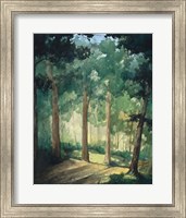 Framed Walk In The Woods