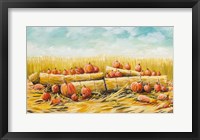 Framed Pumpkin Patch