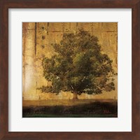 Framed 'Aged Tree I' border=