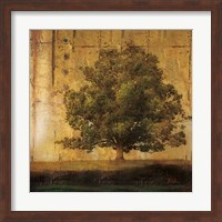 Framed Aged Tree I