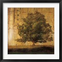 Framed 'Aged Tree I' border=