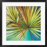 Framed New Palmera I