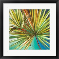 Framed 'New Palmera I' border=