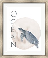 Framed Ocean Turtle