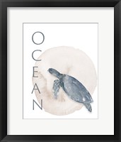 Ocean Turtle Framed Print