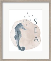 Framed Sea Seahorse