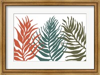 Framed Palm Trio