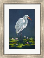 Framed Egret Amongst The Lily Pads