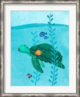 Framed Tony The Turtle