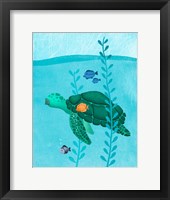 Framed Tony The Turtle