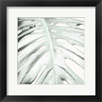 Framed Summer Palm