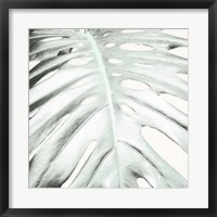 Framed Summer Palm