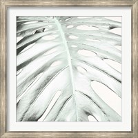 Framed Summer Palm