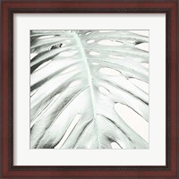 Framed Summer Palm