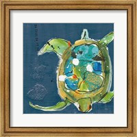 Framed Chentes Turtle on Blue