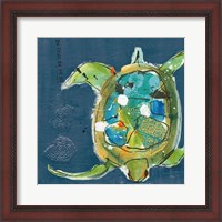 Framed Chentes Turtle on Blue