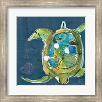 Framed Chentes Turtle on Blue
