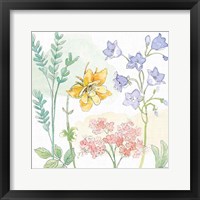 Framed 'Peaceful Petals VII' border=