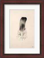 Framed Floating Feathers IV Sepia