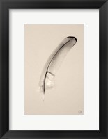 Framed Floating Feathers III Sepia