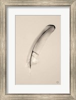 Framed Floating Feathers III Sepia