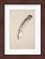 Framed Floating Feathers III Sepia