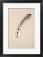 Floating Feathers III Sepia Framed Print