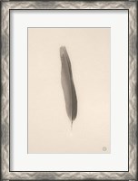 Framed Floating Feathers II Sepia