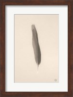 Framed Floating Feathers II Sepia