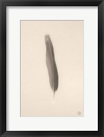 Floating Feathers II Sepia Framed Print