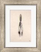 Framed Floating Feathers I Sepia