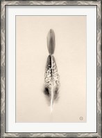 Framed Floating Feathers I Sepia