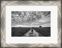 Framed Farm Road