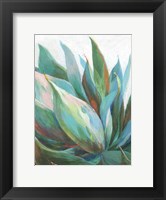 Framed Agave Crop