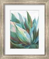 Framed Agave Crop