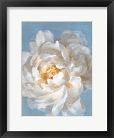 Open Petals II Framed Print