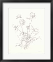 Nature Sketchbook VIII Framed Print