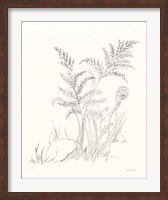 Framed Nature Sketchbook VI