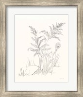 Framed Nature Sketchbook VI