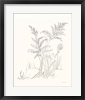 Nature Sketchbook VI Framed Print