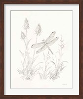 Framed Nature Sketchbook IV