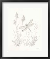 Nature Sketchbook IV Framed Print
